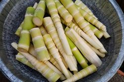Luộc măng tươi kiểu này bao nhiêu độc tố 'bay' sạch lại giòn ngọt không sợ đắng