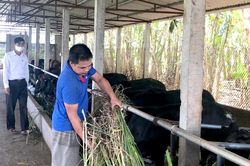 Sôi nổi các phong trào thi đua yêu nước ở Thanh Thủy