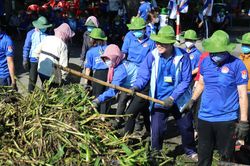 Chiến dịch tình nguyện Hè 2020: Vì một TP.HCM xanh, sạch, đẹp