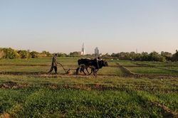 Sudan 'đứng ngồi không yên' vì siêu đập 5 tỷ USD Đại Phục Hưng
