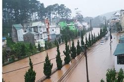 Mênh mông biển nước, dân mạng không khỏi lo lắng cho Đà Lạt