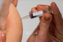 Tỷ lệ trẻ em tiêm chủng bệnh bạch hầu ở Bình Dương còn thấp