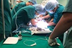 Kết thúc thuận lợi nửa ngày phẫu thuật tách dính cặp song sinh hiếm gặp