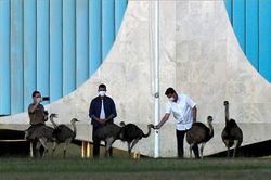 Bất ngờ cuộc sống Tổng thống Brazil trong thời gian cách ly vì COVID-19