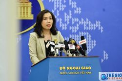 Phản ứng của Việt Nam về các vấn đề Biển Đông hiện nay