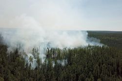 Nga: Khói mù do cháy rùng bao phủ các thành phố vùng Siberia