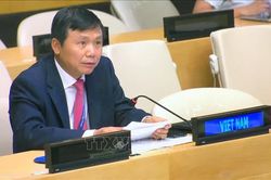 Việt Nam kêu gọi lực lượng Houthi tại Yemen hợp tác với LHQ về vấn đề tàu chở dầu
