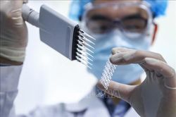 Dịch COVID-19: Vaccine của Sinopharm (Trung Quốc) bước vào giai đoạn thử nghiệm lâm sàng cuối cùng