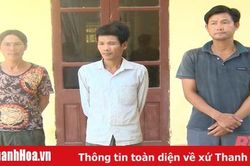 Bắt giữ 3 đối tượng chặt phá hơn 700 cây keo