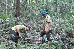 Cần những hành động cấp bách