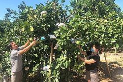Lan tỏa các mô hình noi gương Bác ở Thanh Thủy