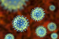Virus sinh sôi như thế nào trong cơ thể người?
