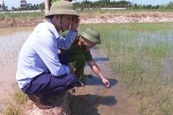 Cảnh báo tai nạn chết người từ bẫy chuột bằng điện