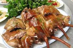 Các vị thuốc từ chuột
