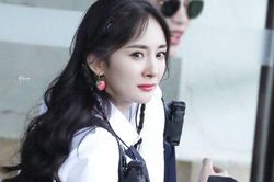 Dương Mịch tìm đạo diễn lớn mong hợp tác nhưng lại bị đuổi ngay trước cổng nhà?