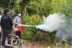 Khuyến cáo của Bộ Y tế về phòng, chống sốt xuất huyết
