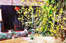 Một mảnh hồn quê