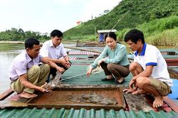 Thi đua là không lùi bước