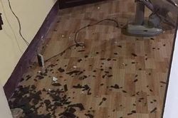 Quảng Bình: Côn đồ xông vào trạm kiểm lâm hành hung cán bộ