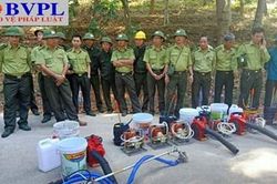 Thanh Hóa: Diễn tập nhưng phải chữa cháy rừng thật