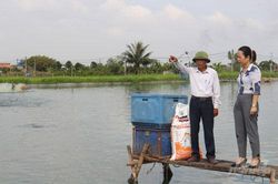 Nam Định: Nuôi cá trắm đen, lãi cả tỷ đồng