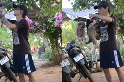 Dân mạng tranh cãi gay gắt câu chuyện chàng trai phơi chó trên móc treo