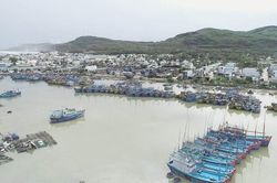 Hơn 2.000 tàu cá không đăng ký, đăng kiểm