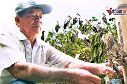 Vườn chim quý liên tục bị phá tổ, bắt trộm chim non bán cho quán nhậu