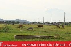 'Rình rập' nguy hiểm từ những hố ga không nắp đậy ở Lộc Hà