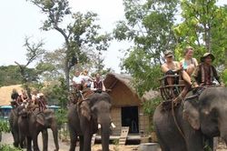 Nữ du khách bị gãy 4 xương sườn khi cưỡi voi du lịch tại Đak Lak