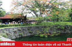 Mạch nguồn văn hóa: Từ chiều sâu quá khứ đến tương lai