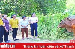 Phụ nữ Thanh Hóa sáng mãi truyền thống phụ nữ 'Ba đảm đang'