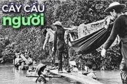 Cầu người - Cây cầu đẹp nhất