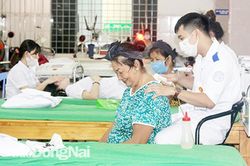 Đồng bào Công giáo Đồng Nai nỗ lực xây dựng nông thôn mới