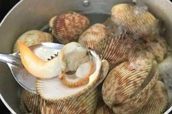Muốn nghêu, sò, ốc, hến nhả sạch không còn 1 hạt cát bẩn, đây là cách vừa nhanh vừa đơn giản nhất