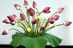 Một số kiểu cắm hoa sen để bàn đơn giản mà đẹp đến mê hồn