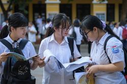 Tra cứu online đáp án đề thi tuyển sinh vào lớp 10 môn Tiếng Anh tỉnh Phú Yên năm 2020