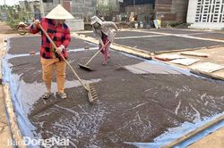 Hồ tiêu Đồng Nai có nhiều lợi thế cạnh tranh