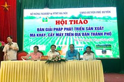 Năm 2021, Hà Nội đặt mục tiêu đưa diện tích mạ khay, cấy máy lên 10%