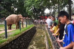 Hà Nội lên kế hoạch cải tạo vườn thú Công viên Thủ Lệ