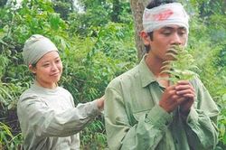 Sưu tầm thư và kỷ vật chủ đề tình yêu trong chiến tranh