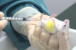 Tháng 10-2021, Việt Nam dự kiến có vaccine phòng, chống Covid-19