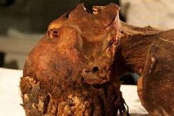 Vén màn bí ẩn xác ướp 'công chúa gào thét' trong mộ cổ Ai Cập 3000 năm tuổi