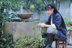 Đề thi gây tranh cãi khi đề cập tới vlogger nổi tiếng Lý Tử Thất