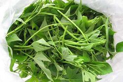 Công dụng thần kỳ và bất ngờ từ rau khoai lang