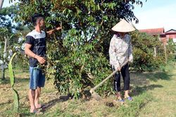 Khi đảng viên tiên phong, gương mẫu