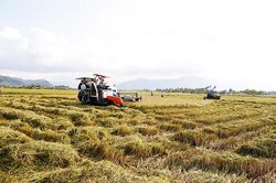 Nguồn vốn cho vay kinh tế tập thể còn thấp