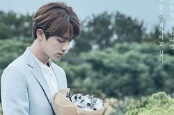 ARMY quay cuồng trước cập nhật bí ẩn về Jin BTS trên trang Smeraldo
