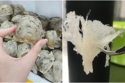 Chủ nhà yến chia sẻ bí quyết chọn mua yến sào giá mềm mà vẫn chuẩn xịn