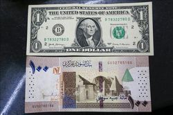 Sudan phá giá đồng nội tệ để đối phó với khủng hoảng kinh tế